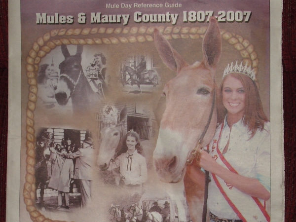 MuleDay07020rs.jpg